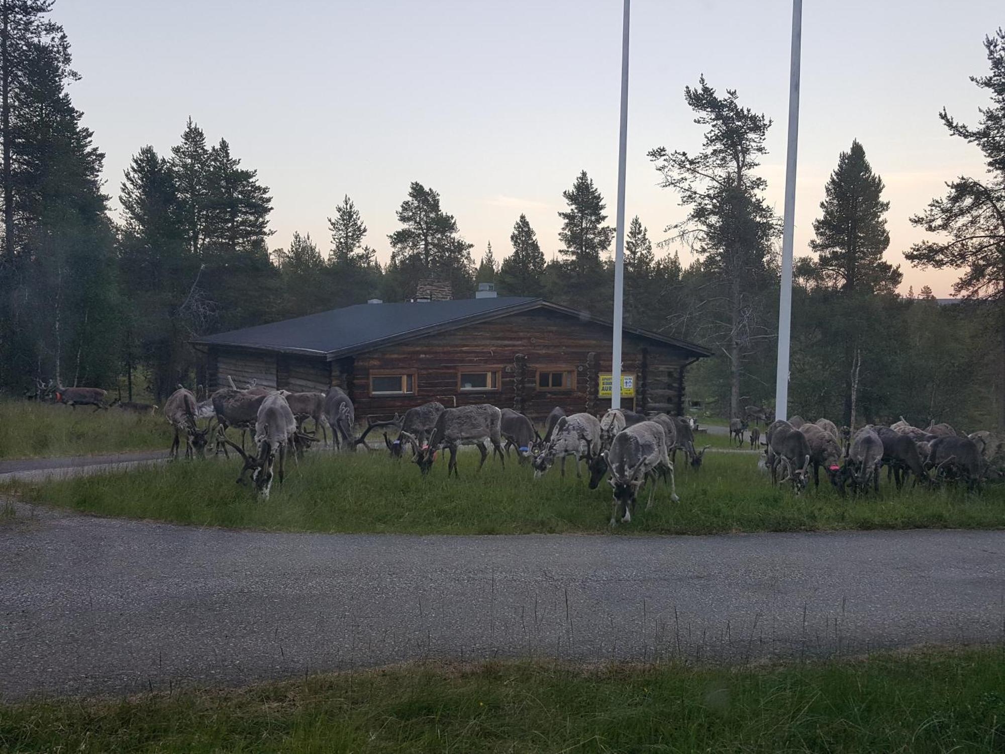 Kuukkeli Log Houses Aurora Resort Saariselkä Exterior foto